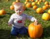 Jared and another pumpkin.JPG (128650 bytes)