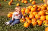 Jared and the pumpkins.JPG (207250 bytes)