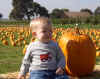 Jared next to a pumpkin.JPG (147904 bytes)